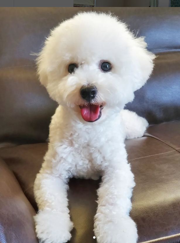 ロイちゃんの改善前写真